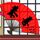 女子遭丈夫打死